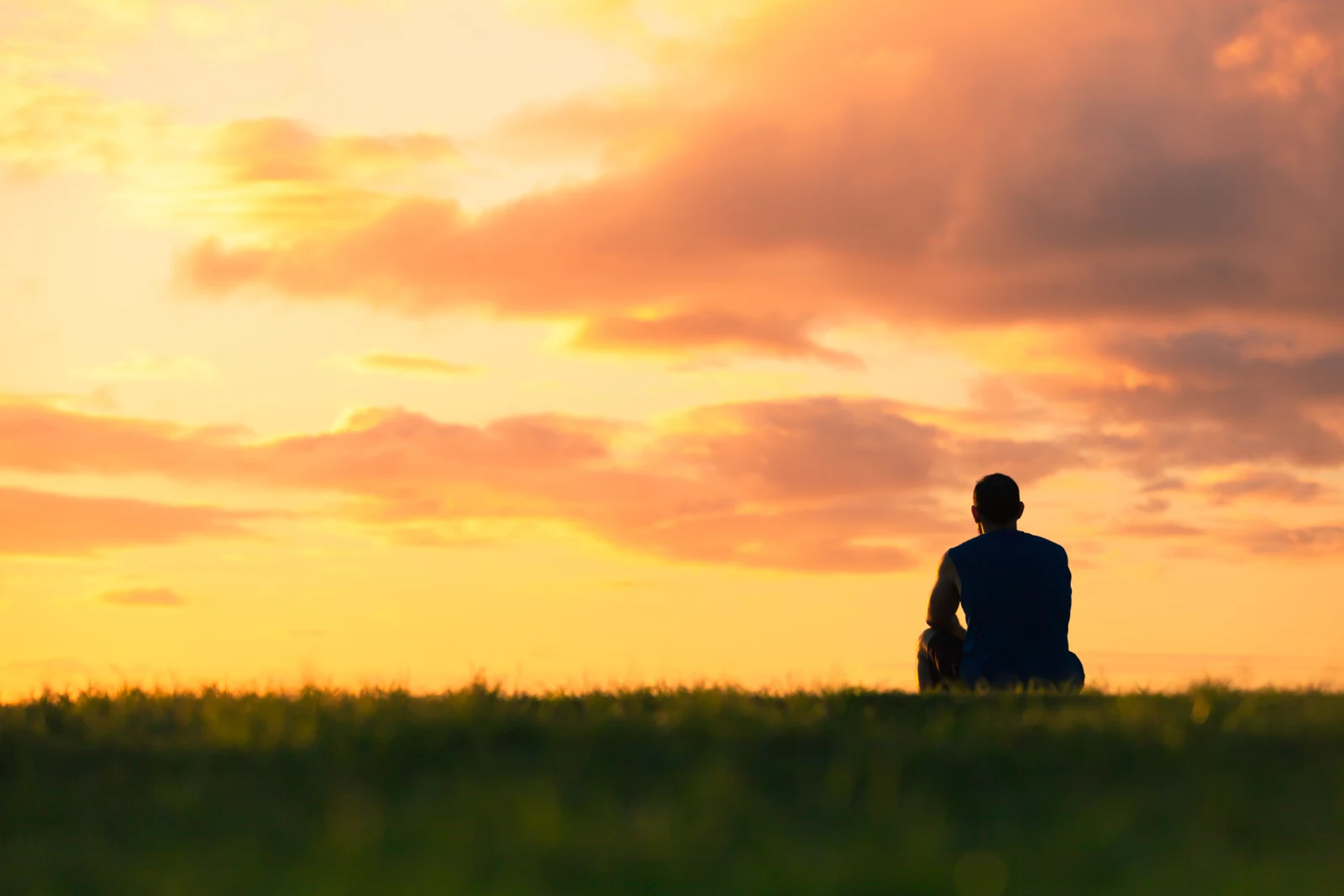 A person seated in grass beneath an orange sunset sky.